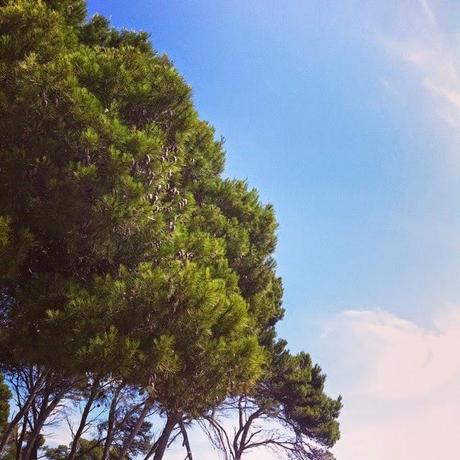 mi verano es- mi summer is