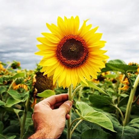 mi verano es- mi summer is