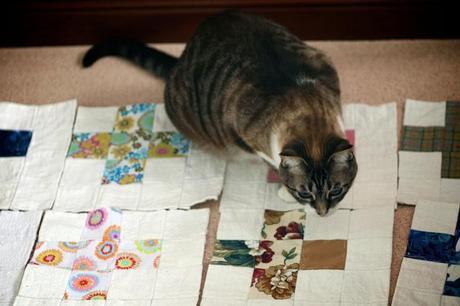 cross II_2_20140510 - Version 2