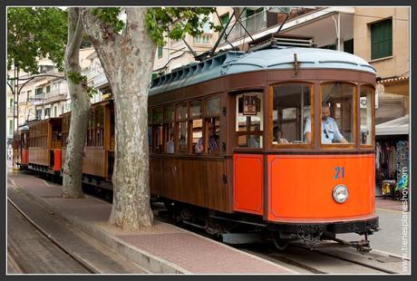 Soller