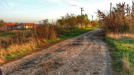 Mudanza a la capital