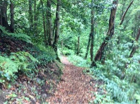 Senderismo y naturaleza en El Cubo de La Galga.