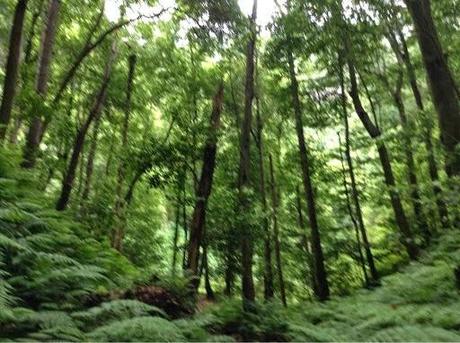 Senderismo y naturaleza en El Cubo de La Galga.