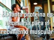 ¿Cuánta proteína necesaria para crecimiento muscular?