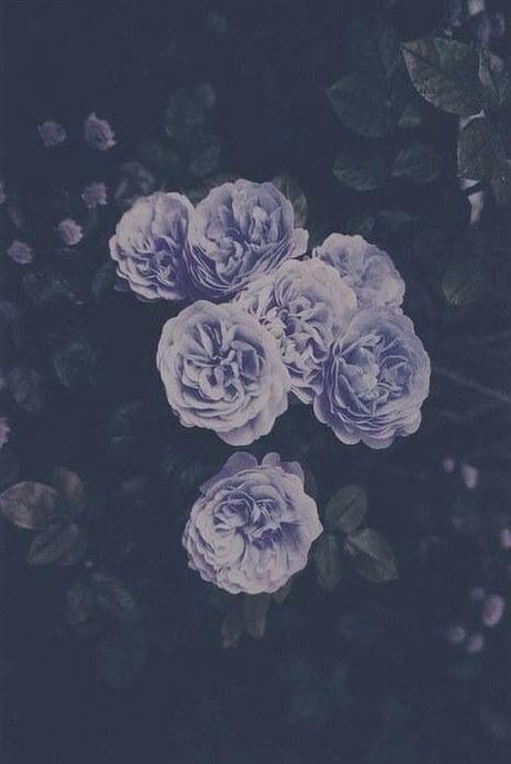 Conóceme un poco más con esta nominación.