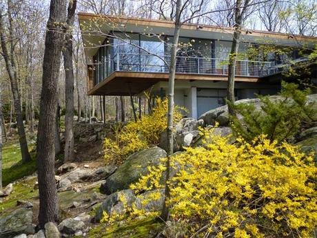 Casa Vanguardista en el Bosque