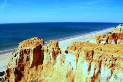 No es el verde ni el azul, sino el ocre el color de nuestro mundo.