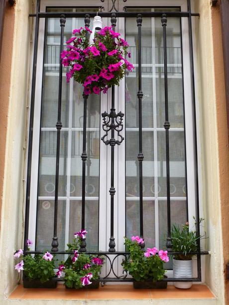 Ventana con petunias