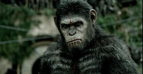 El amanecer del planeta de los simios, buscando la paz. El Amanecer del Planeta de los Simios_cineyear