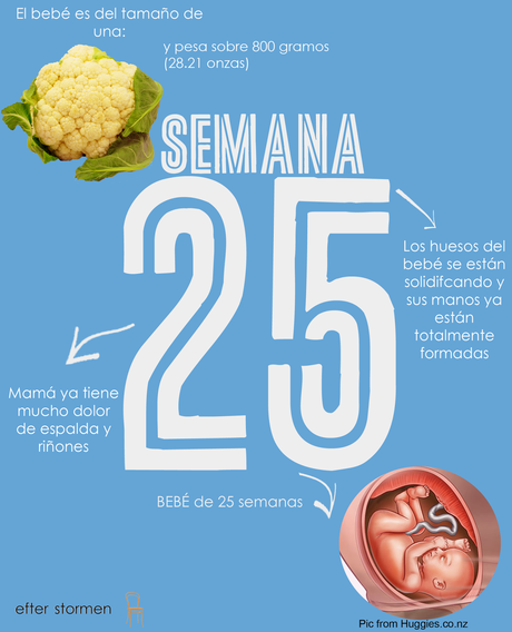 Semana 25 Embarazo | Week 25 Pregnancy