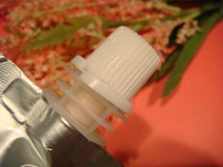 Prtty Peaushun Prtty Peaushun