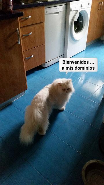 estamos tan agustito