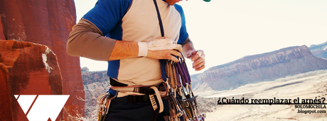 ¿Cuando cambiar el arnes?