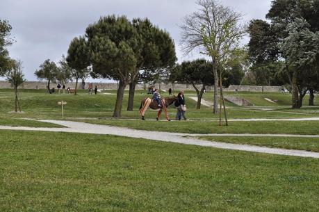 ILE DE RÉ (LA ISLA DE RE)