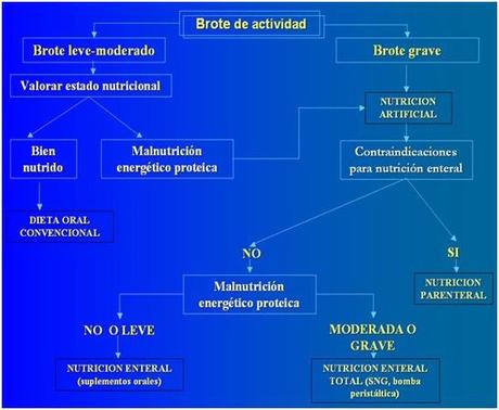 broteactividad