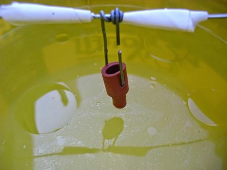 INCIDENCIA DE LA TUTA ABSOLUTA EN EL TOMATE 2014