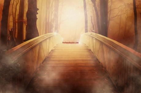 wallpapers___bridge_by_tumana_stockd4e8cpi