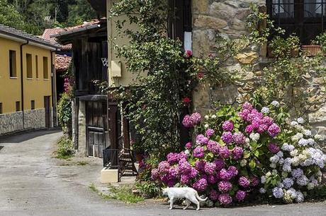Rincones de Espinaredo, Asturias