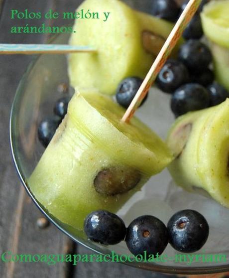 POLOS DE MELÓN Y ARÁNDANOS.
