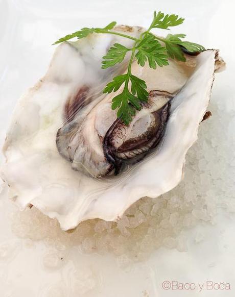 OSTRA RIZADA DEL DELTA MARINADA EN MUSLUM Y PERIFOLLO en Llagut Taverna Marinera Tarragona amigastronomikas viaje a tarraco