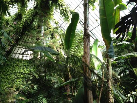 70.000 impresiones « Sucesos contemporáneos»