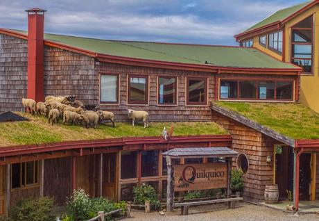 Cuando la sustentabilidad es parte del ADN