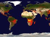 ¿Qué entendemos incendio forestal?
