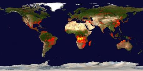 ¿Qué entendemos por incendio forestal?