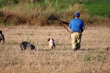 Encuentro un animal protegido herido o muerto en el campo ¿Qué hago?