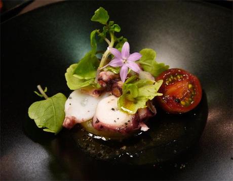 pulpo-cocinas-gaggenau