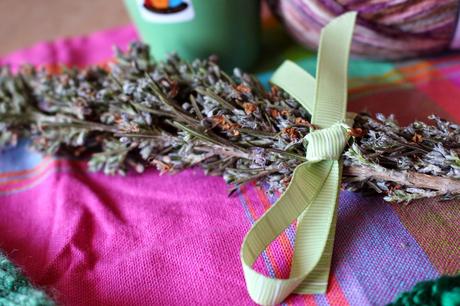 El picnic de mi swapetina