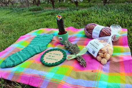 El picnic de mi swapetina