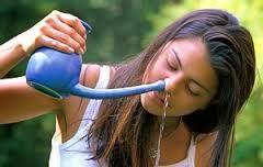 jala-neti-o-ducha-nasal Jala Neti o Ducha Nasal