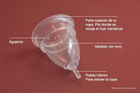 La Copa Menstrual