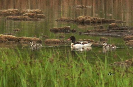 SANTOÑA-CIUDAD REAL-SANTOÑA