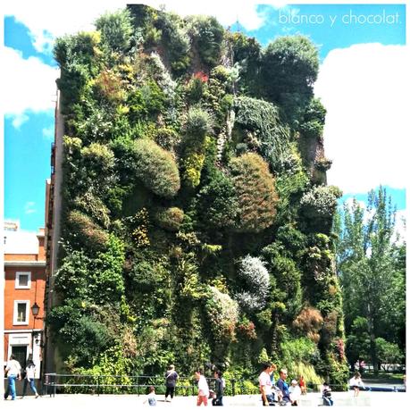 DCNP21 - DECORACCION 2014