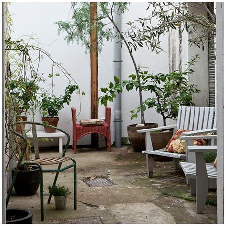 DECO - PATIOS Y PLANTAS