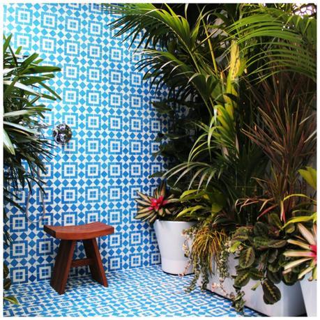 DECO - PATIOS Y PLANTAS