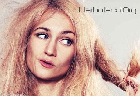 remedios-caseros-cabello-seco-