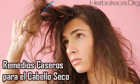 Remedios Caseros para el Cabello Seco