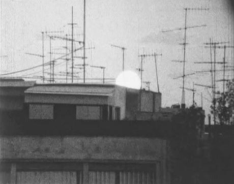 LAS LENTES DE DOÑA GUIOMAR