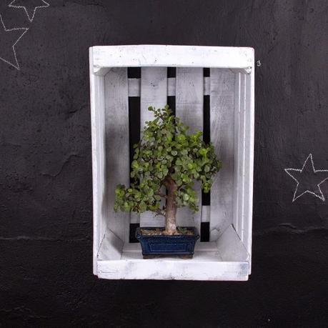 DECO. 21 Ideas geniales para decorar tu casa con cajas de fruta.