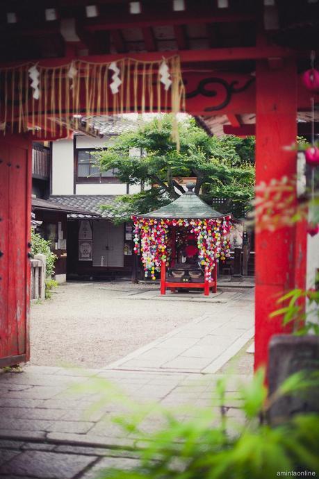 Kyoto-amintaonline-panamajack-blogger-15