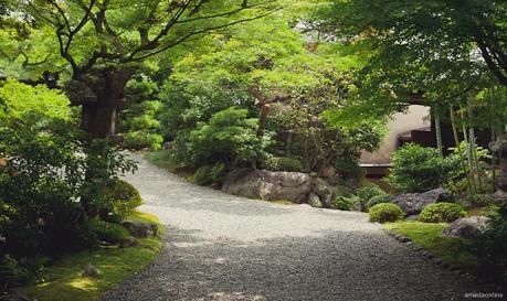 Kyoto-amintaonline-panamajack-blogger-6