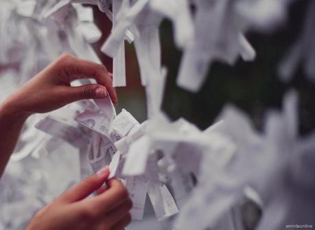 Kyoto-amintaonline-panamajack-blogger-34