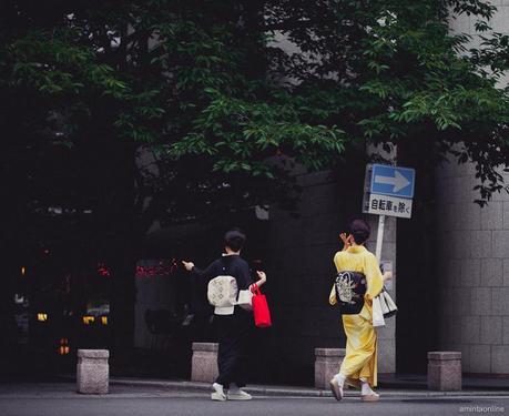 Kyoto-amintaonline-panamajack-blogger-40