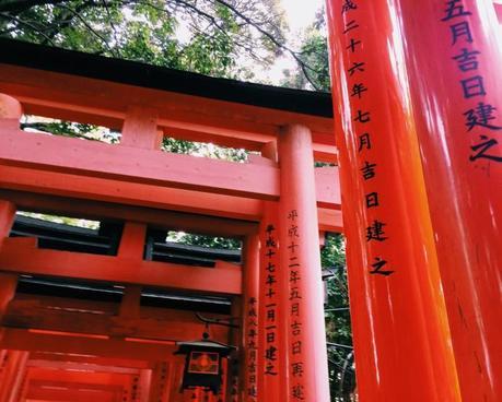 Processed with VSCOcam with c1 preset