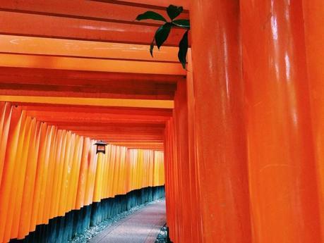 Processed with VSCOcam with c1 preset