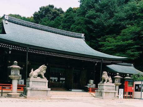 Processed with VSCOcam with c1 preset