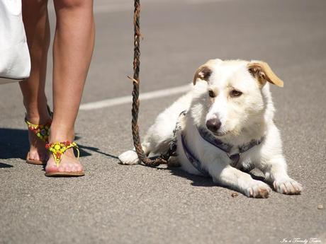 OUTFIT I WOKE UP LIKE THIS